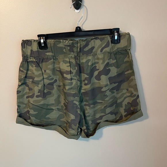 Dry Goods Fabric Shorts - Picture 3 of 4